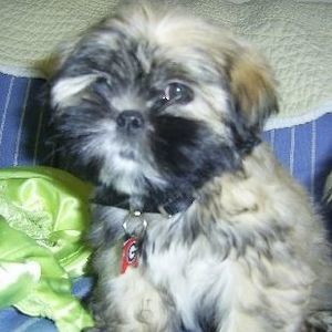 Meet your Posher, Vicki